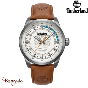 Montre Timberland Lanigan Homme TDWGA0083203