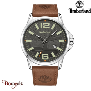 Montre Timberland Bernardston Homme TDWGB2131801